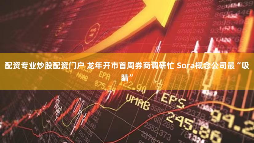 配资专业炒股配资门户 龙年开市首周券商调研忙 Sora概念公司最“吸睛”