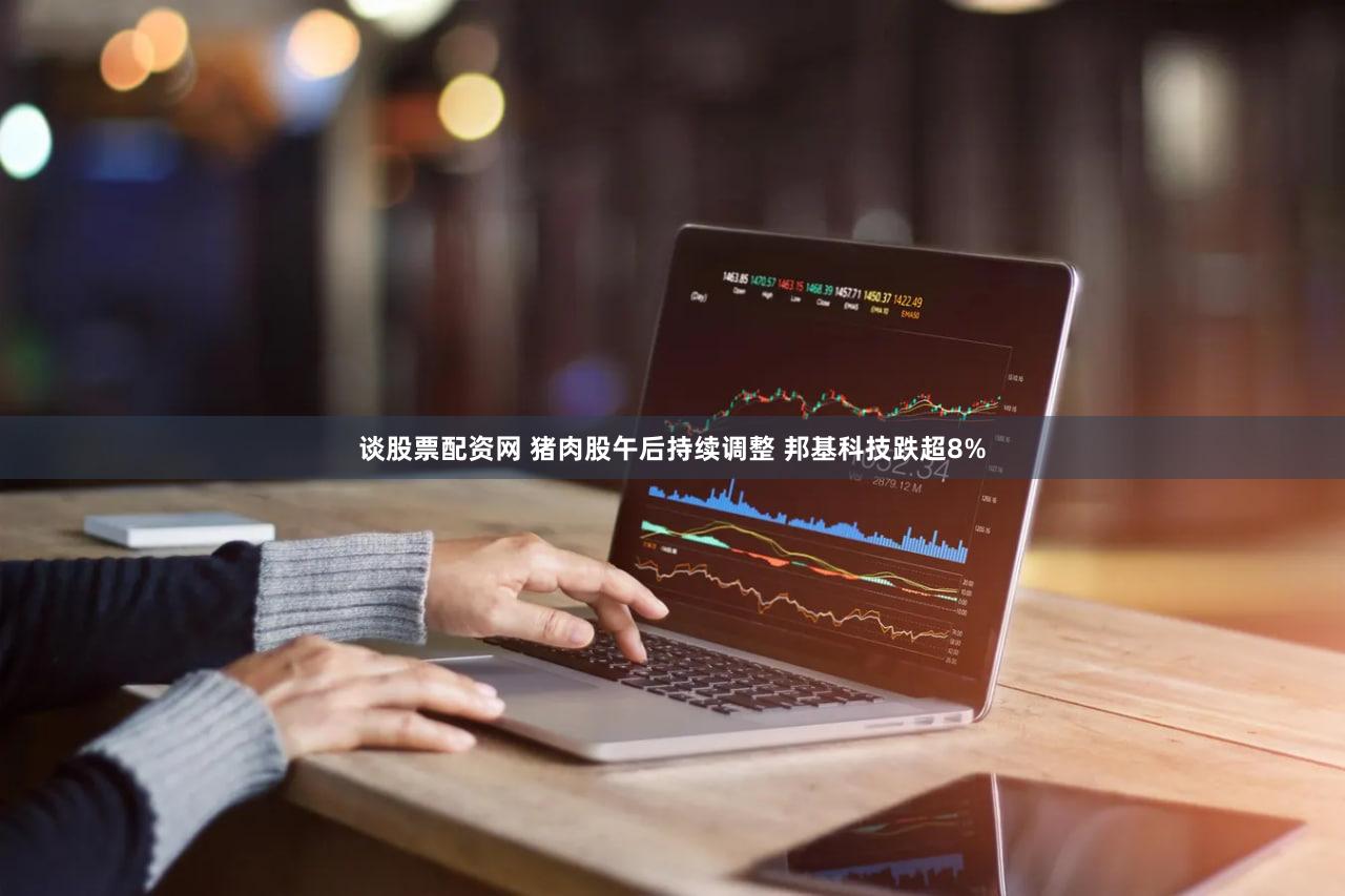 谈股票配资网 猪肉股午后持续调整 邦基科技跌超8%