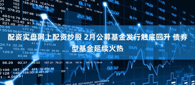 配资实盘网上配资炒股 2月公募基金发行触底回升 债券型基金延续火热