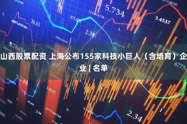 山西股票配资 上海公布155家科技小巨人（含培育）企业 | 名单