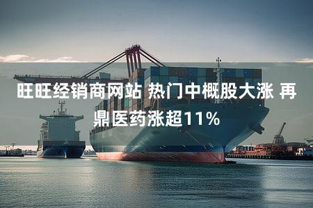 旺旺经销商网站 热门中概股大涨 再鼎医药涨超11%