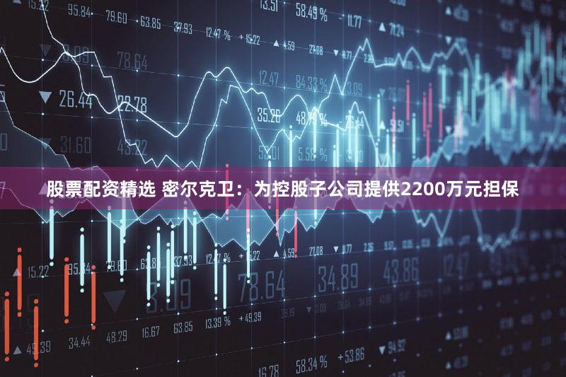 股票配资精选 密尔克卫：为控股子公司提供2200万元担保