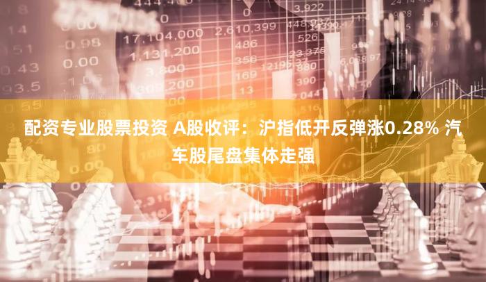 配资专业股票投资 A股收评:沪指低开反弹涨0.28% 汽车股尾盘集体走强