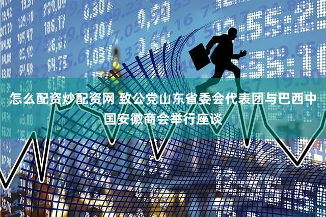 怎么配资炒配资网 致公党山东省委会代表团与巴西中国安徽商会举行座谈