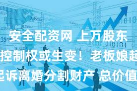 安全配资网 上万股东懵了 公司控制权或生变!老板娘起诉离婚分割财产 总价值高达4.6亿元