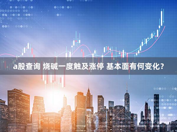 a股查询 烧碱一度触及涨停 基本面有何变化？